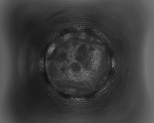 X0000100191011200806201250