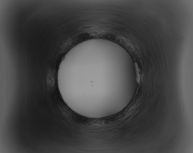 X0000100191012200806201250