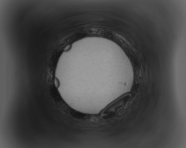 X0000100191013200806201250