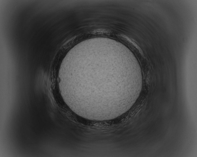 X0000100191015200806201250