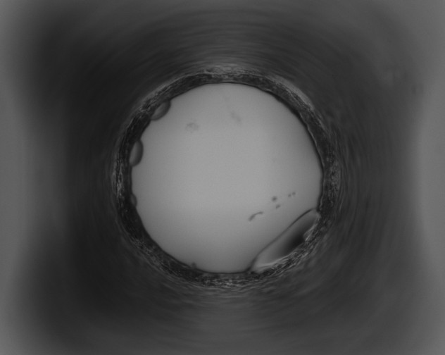 X0000100191016200806201250