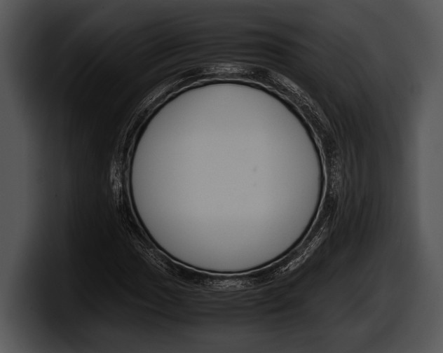 X0000100191017200806201250