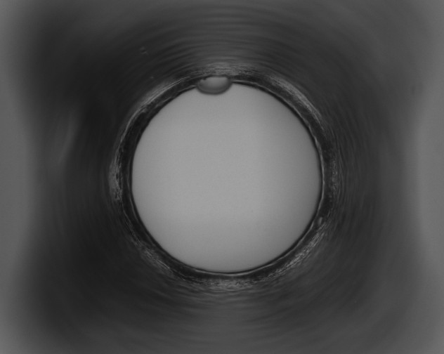 X0000100191018200806201250