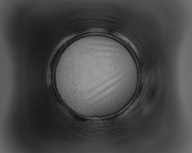 X0000100191019200806201250