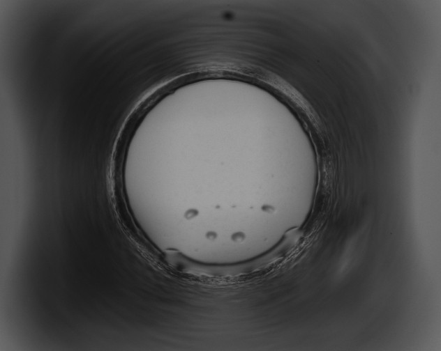 X0000100191020200806201250