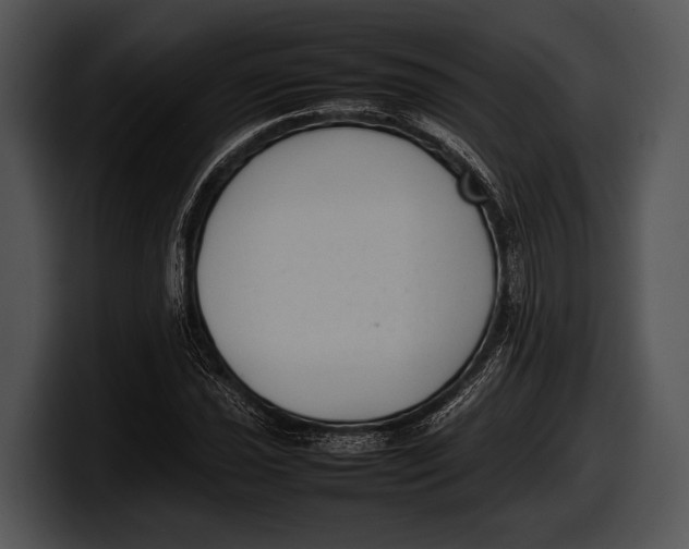 X0000100191021200806201250