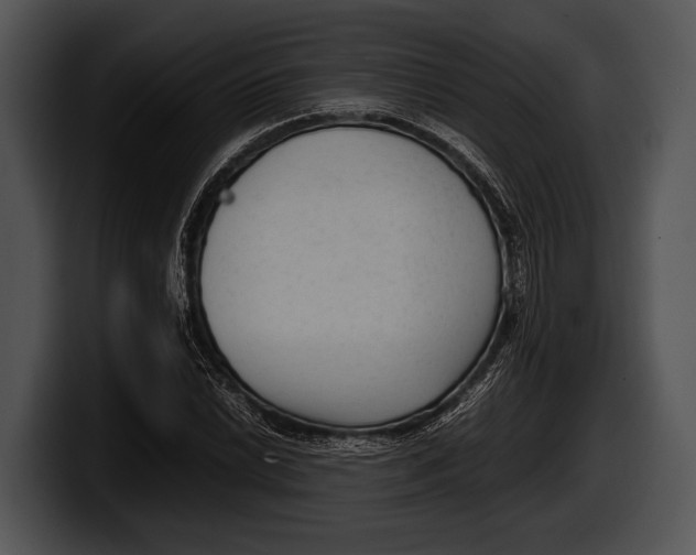 X0000100191022200806201250