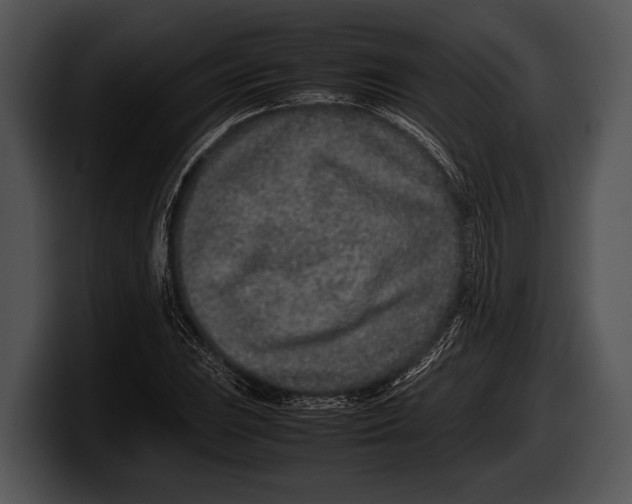 X0000100191023200806201250