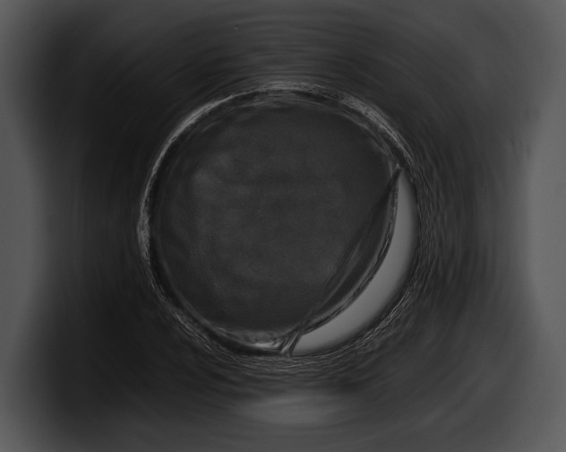 X0000100191024200806201250