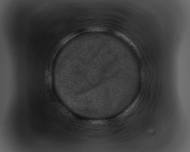 X0000100191025200806201250