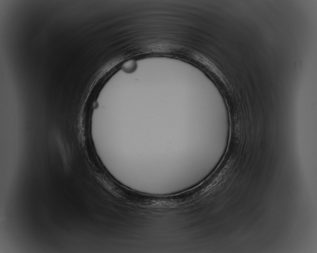 X0000100191026200806201250