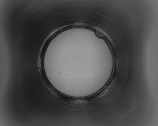 X0000100191029200806201250