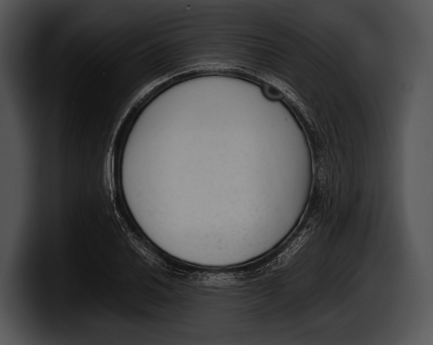 X0000100191030200806201250