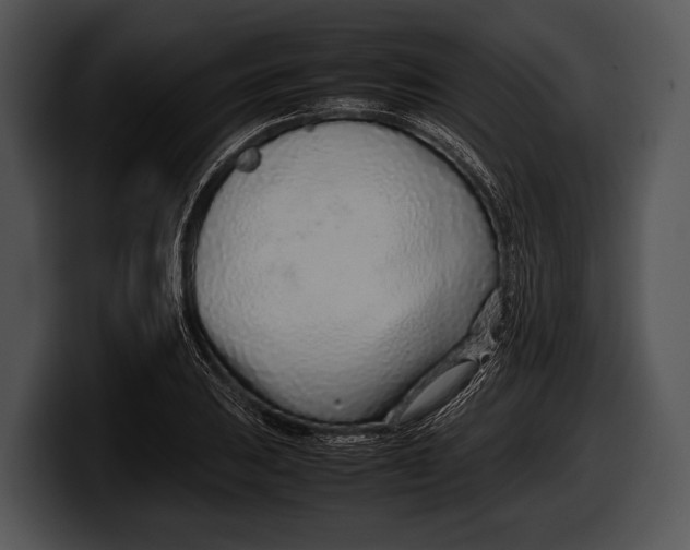 X0000100191031200806201250