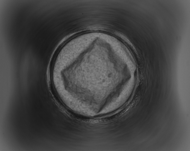 X0000100191032200806201250