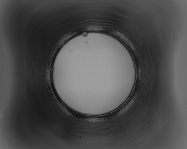 X0000100191033200806201250