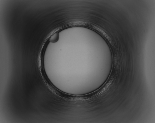 X0000100191034200806201250