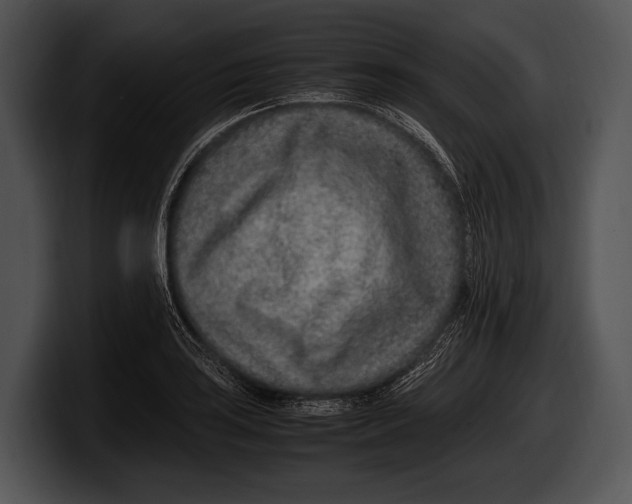 X0000100191035200806201250