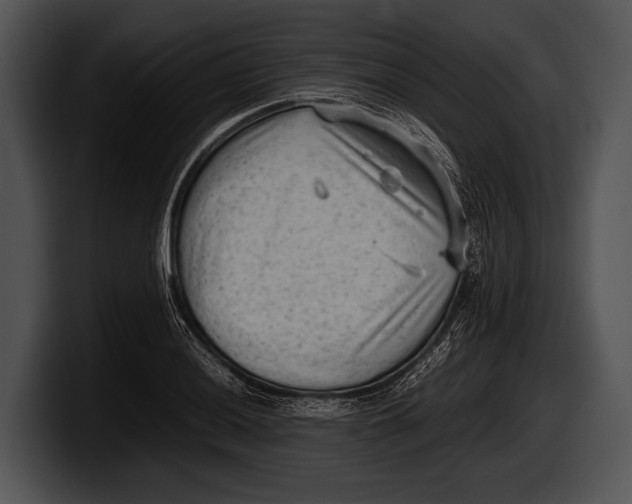 X0000100191036200806201250