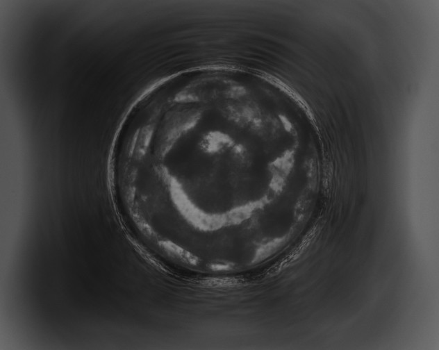 X0000100191037200806201250