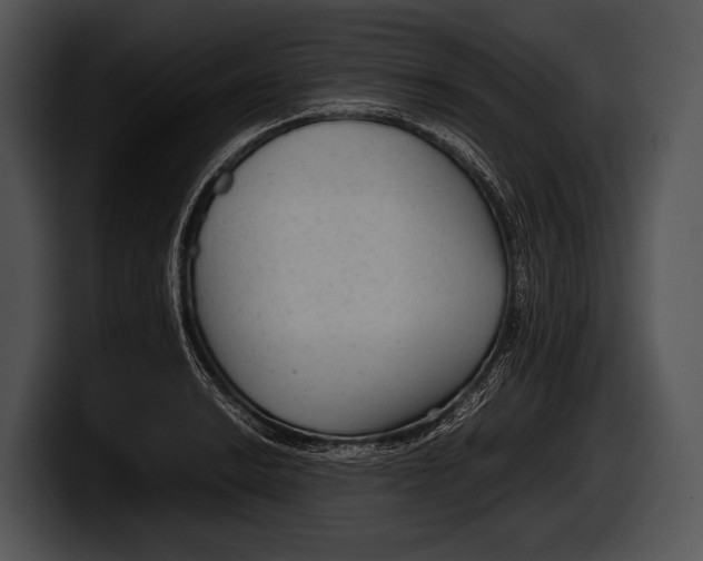 X0000100191038200806201250