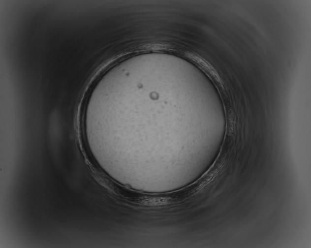 X0000100191039200806201250