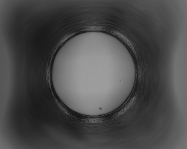 X0000100191041200806201250