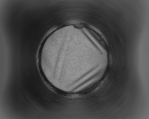 X0000100191042200806201250