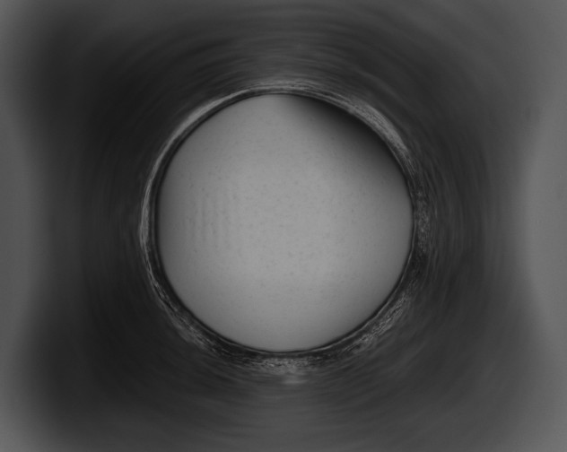 X0000100191044200806201250