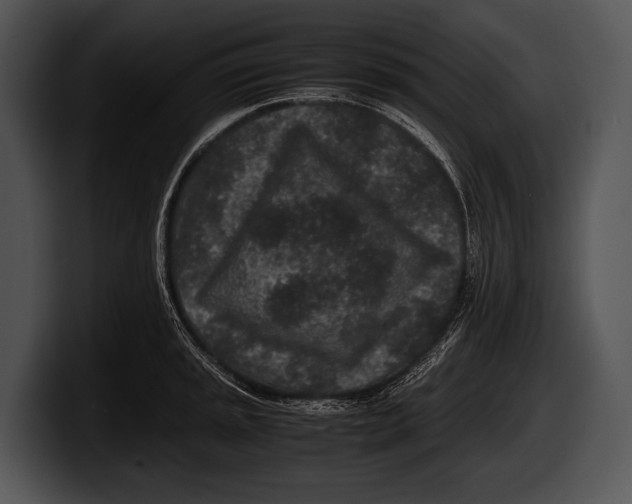 X0000100191045200806201250