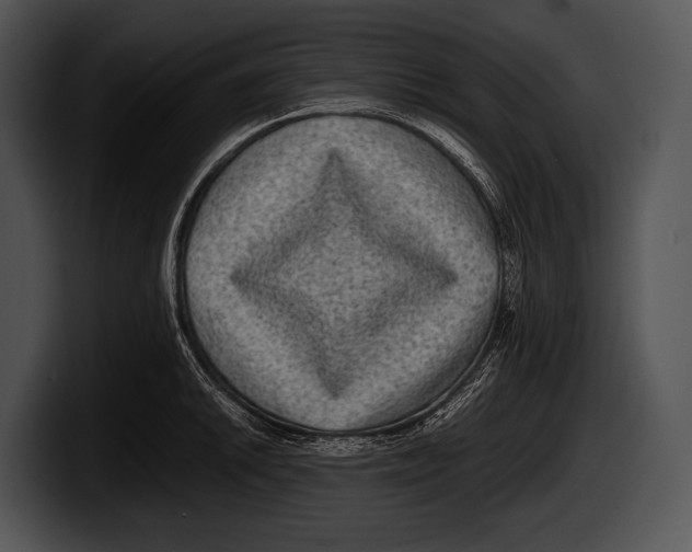 X0000100191046200806201250