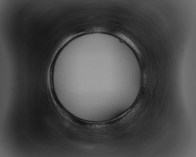 X0000100191047200806201250