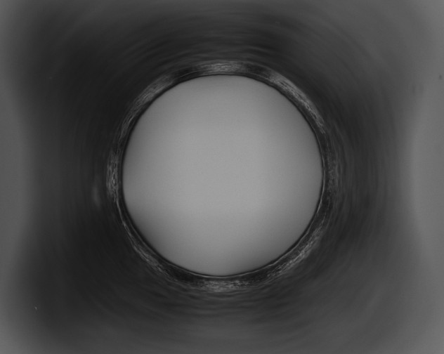 X0000100191049200806201250