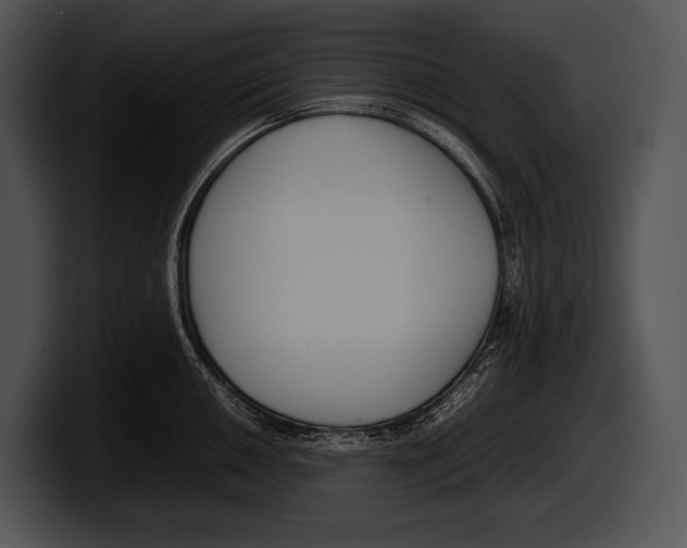 X0000100191050200806201250