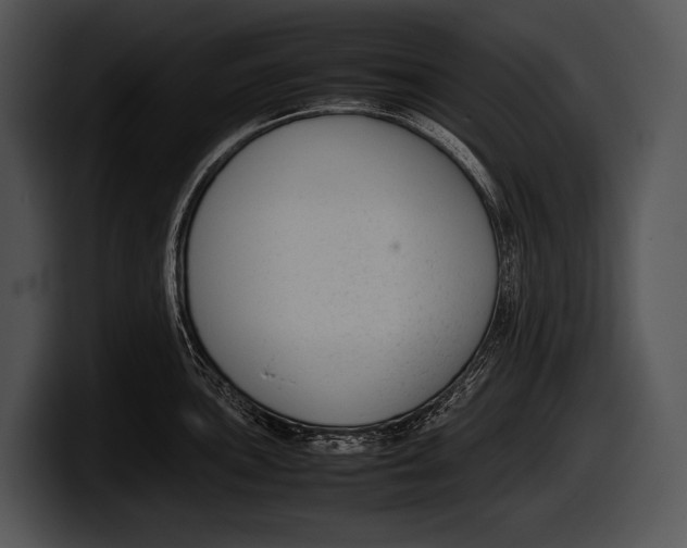 X0000100191051200806201250