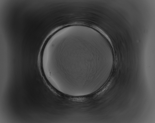 X0000100191053200806201250