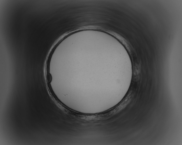 X0000100191054200806201250