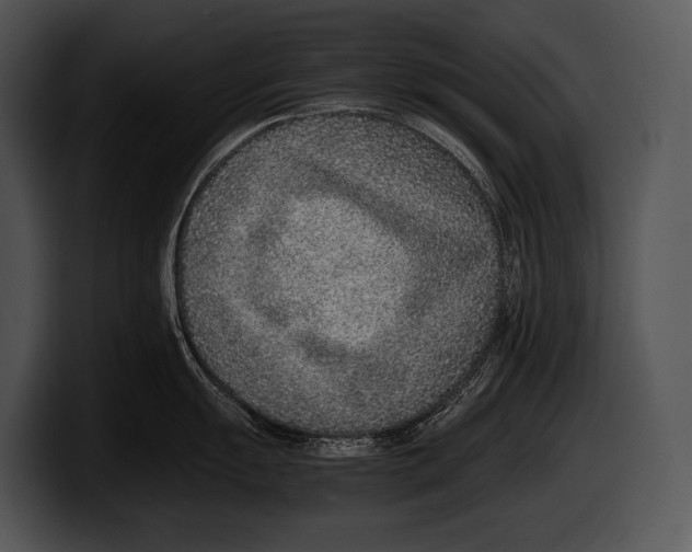 X0000100191055200806201250