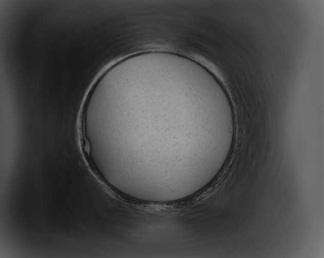 X0000100191056200806201250