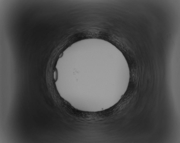 X0000100191057200806201250