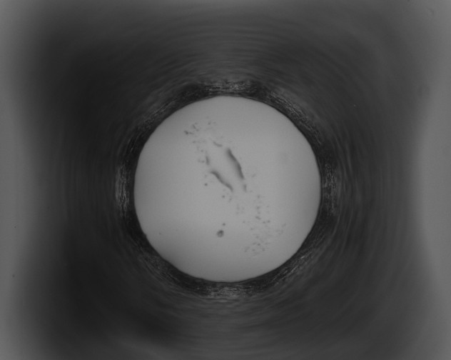 X0000100191058200806201250