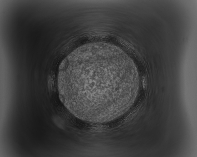 X0000100191059200806201250