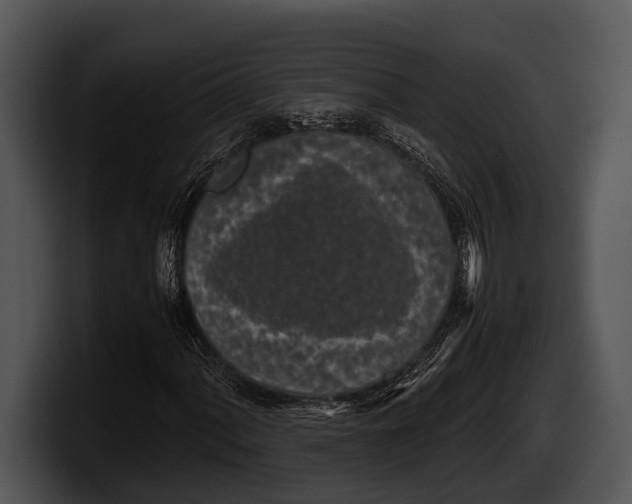 X0000100191060200806201250