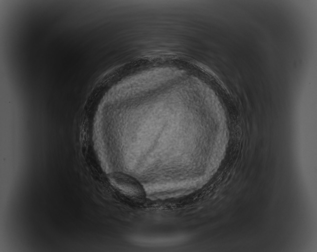 X0000100191063200806201250