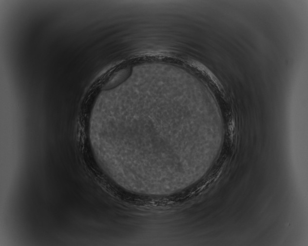 X0000100191064200806201250