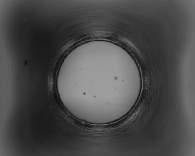 X0000100191065200806201250