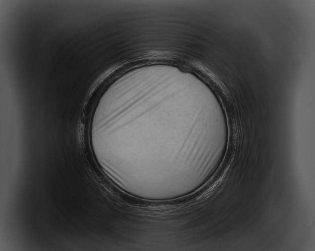 X0000100191066200806201250