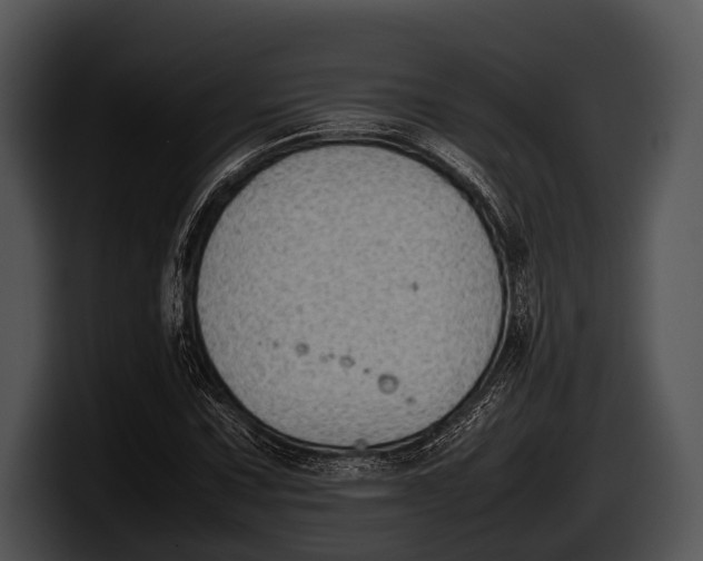 X0000100191067200806201250