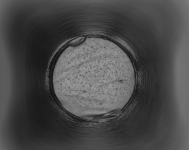 X0000100191068200806201250