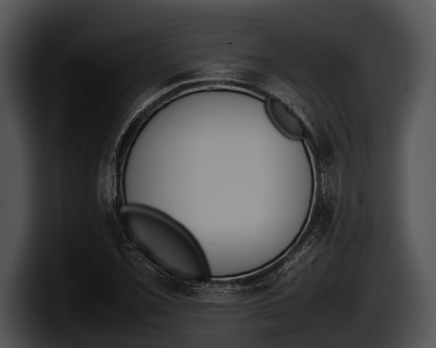 X0000100191069200806201250